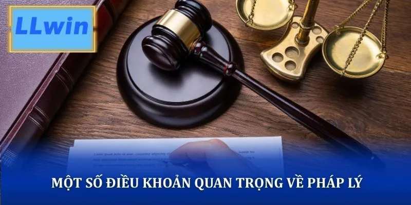 Một số điều khoản quan trọng về tính pháp lý